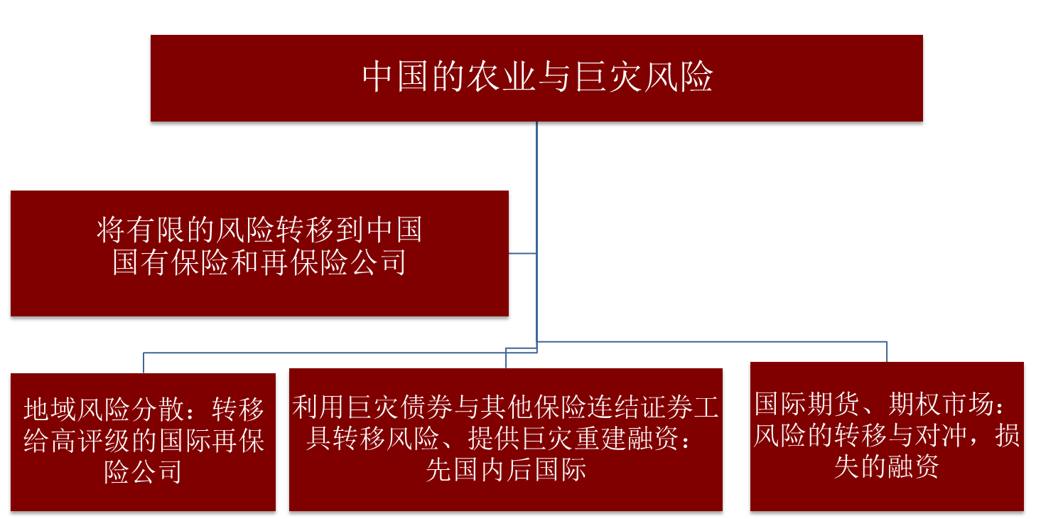 怀戴巨灾和农业风险转移以及重建融资的模型框架